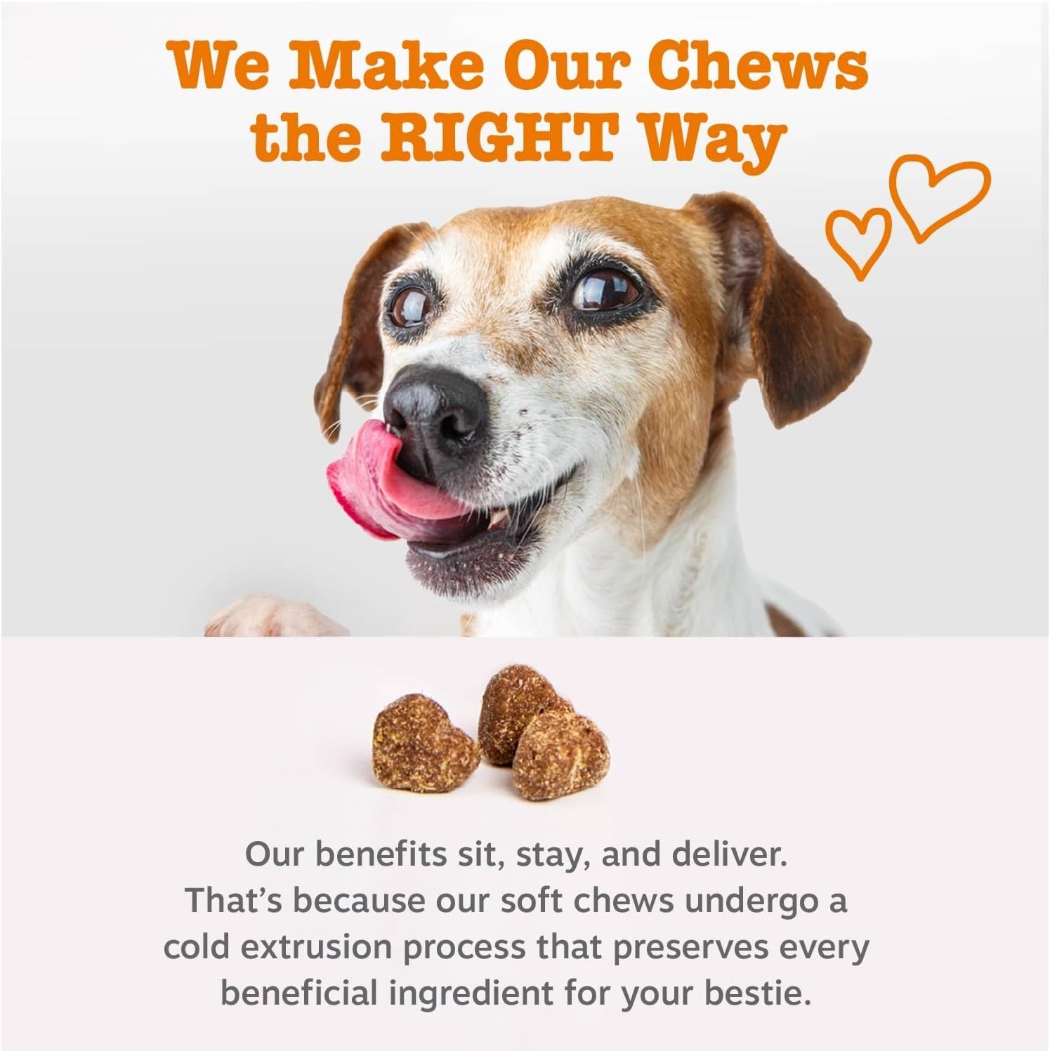 image:imageZesty Paws 10in1 Dog Vitamins Dog Multivitamin Powder Salmon 30 CtBeef Advanced