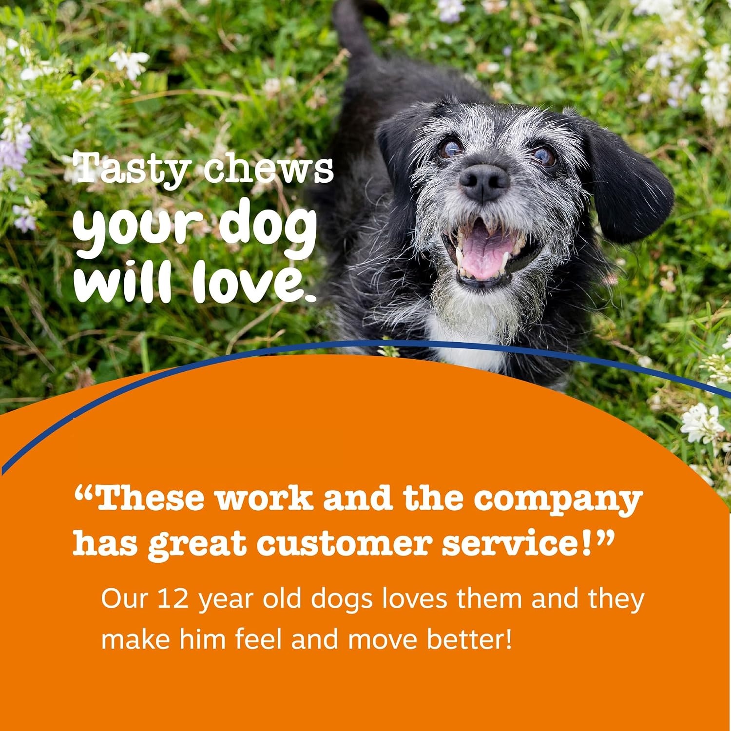 image:imageZesty Paws 10in1 Dog Vitamins Dog Multivitamin Powder Salmon 30 CtChicken Advanced