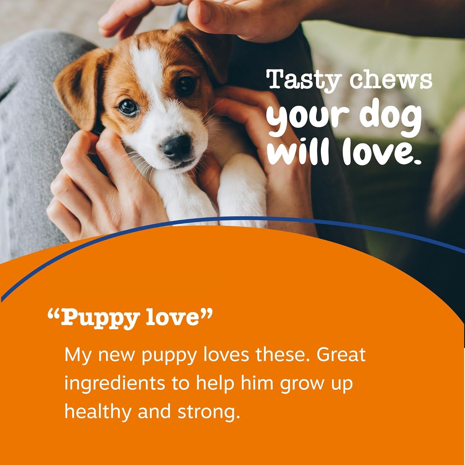 image:imageZesty Paws 10in1 Dog Vitamins Dog Multivitamin Powder Salmon 30 CtChicken Puppy Bites