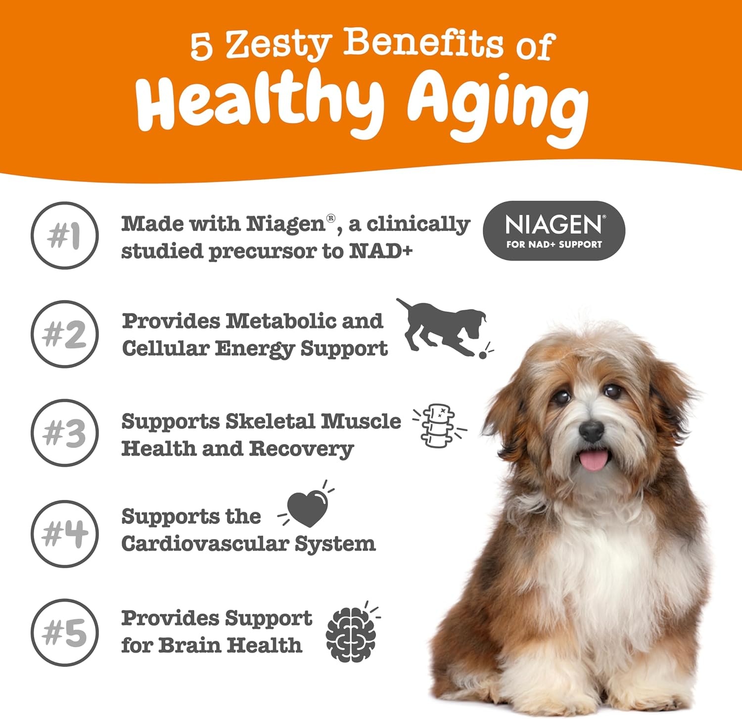 image:imageZesty Paws 10in1 Dog Vitamins Dog Multivitamin Powder Salmon 30 CtHealthy Aging