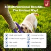 Zesty Paws 10-in-1 Dog Vitamins – Dog Multivitamin Powder, Salmon, 30 Ct(Bison – 8-in-1)