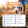 Zesty Paws 10-in-1 Dog Vitamins – Dog Multivitamin Powder, Salmon, 30 Ct(Chicken – Advanced)