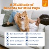 Zesty Paws 10-in-1 Dog Vitamins – Dog Multivitamin Powder, Salmon, 30 Ct(Chicken – Mini)
