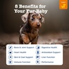 Zesty Paws 10-in-1 Dog Vitamins – Dog Multivitamin Powder, Salmon, 30 Ct(Chicken – Puppy Bites)