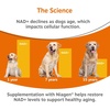 Zesty Paws 10-in-1 Dog Vitamins – Dog Multivitamin Powder, Salmon, 30 Ct(Healthy Aging)