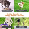 Zesty Paws 10-in-1 Dog Vitamins – Dog Multivitamin Powder, Salmon, 30 Ct(Healthy Aging)