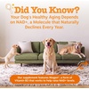 Zesty Paws 10-in-1 Dog Vitamins – Dog Multivitamin Powder, Salmon, 30 Ct(Healthy Aging)