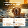 Zesty Paws Turmeric Dog Joint Supplement – Joint Supplement for Dogs 90Ct